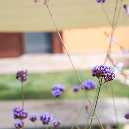 אלברזה Agriturismo I Grappoli מראה חיצוני תמונה