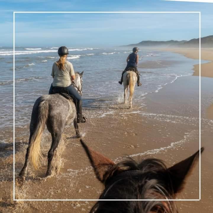 אלברזה Agriturismo I Grappoli מראה חיצוני תמונה