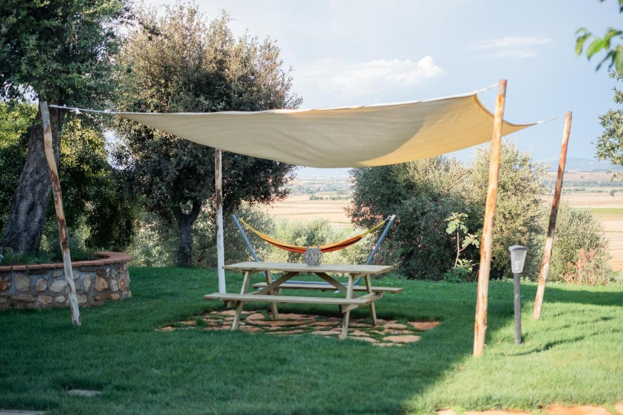 אלברזה Agriturismo I Grappoli מראה חיצוני תמונה