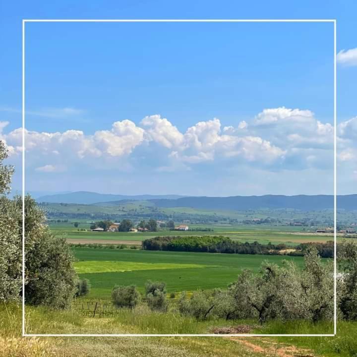 אלברזה Agriturismo I Grappoli מראה חיצוני תמונה